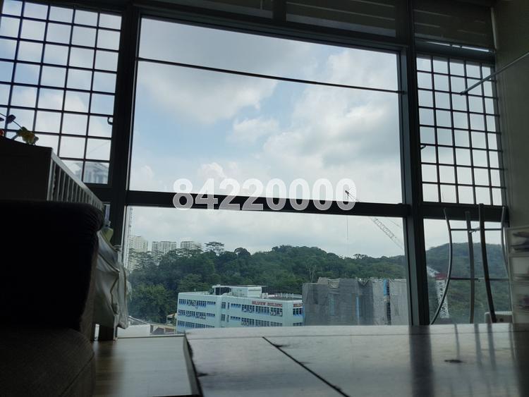 Hillview Regency (D23), Condominium #149669782